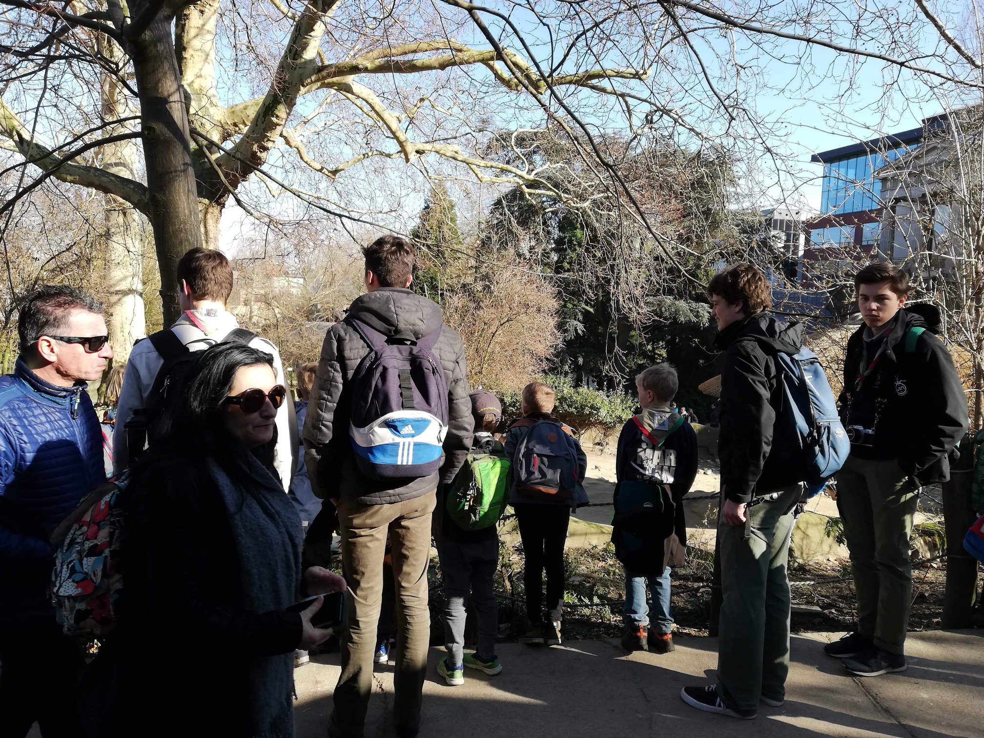 Sint-Martinus den XIIde - Zoo Antwerpen Kapoenen